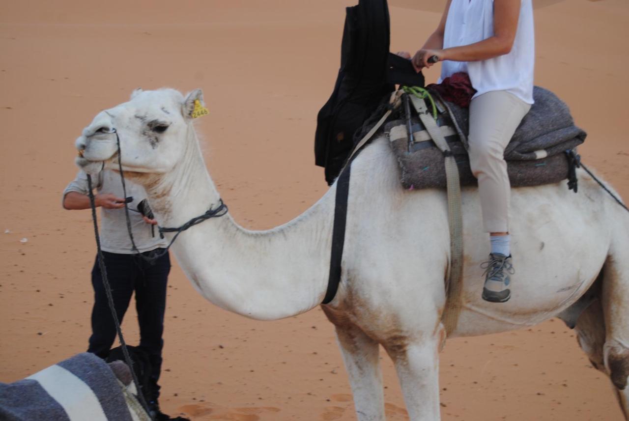 Desert Camel Trekking Camp Merzouga Exterior photo